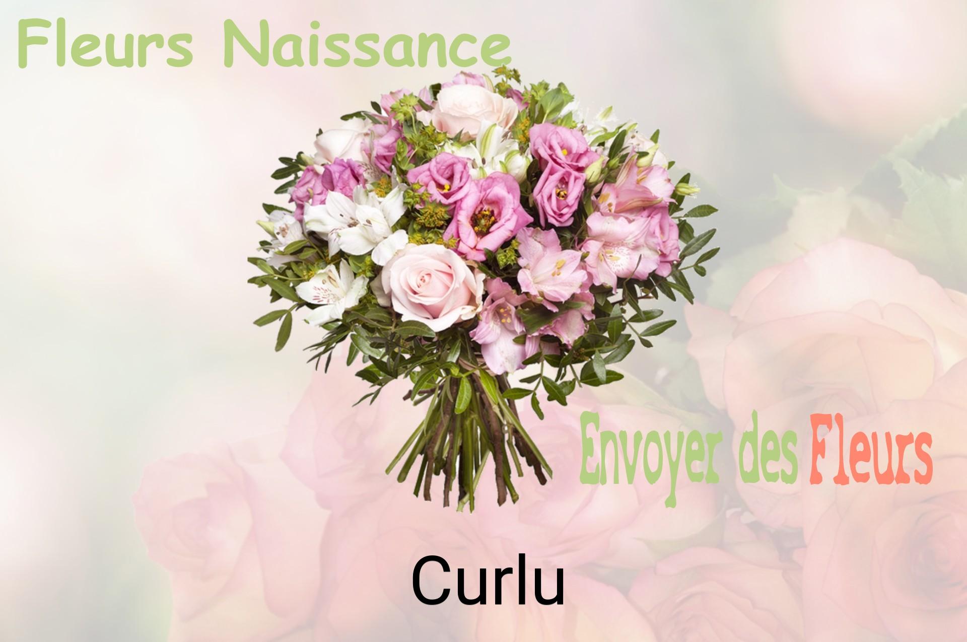 Bouquet de fleurs de naissance livré à Curlu