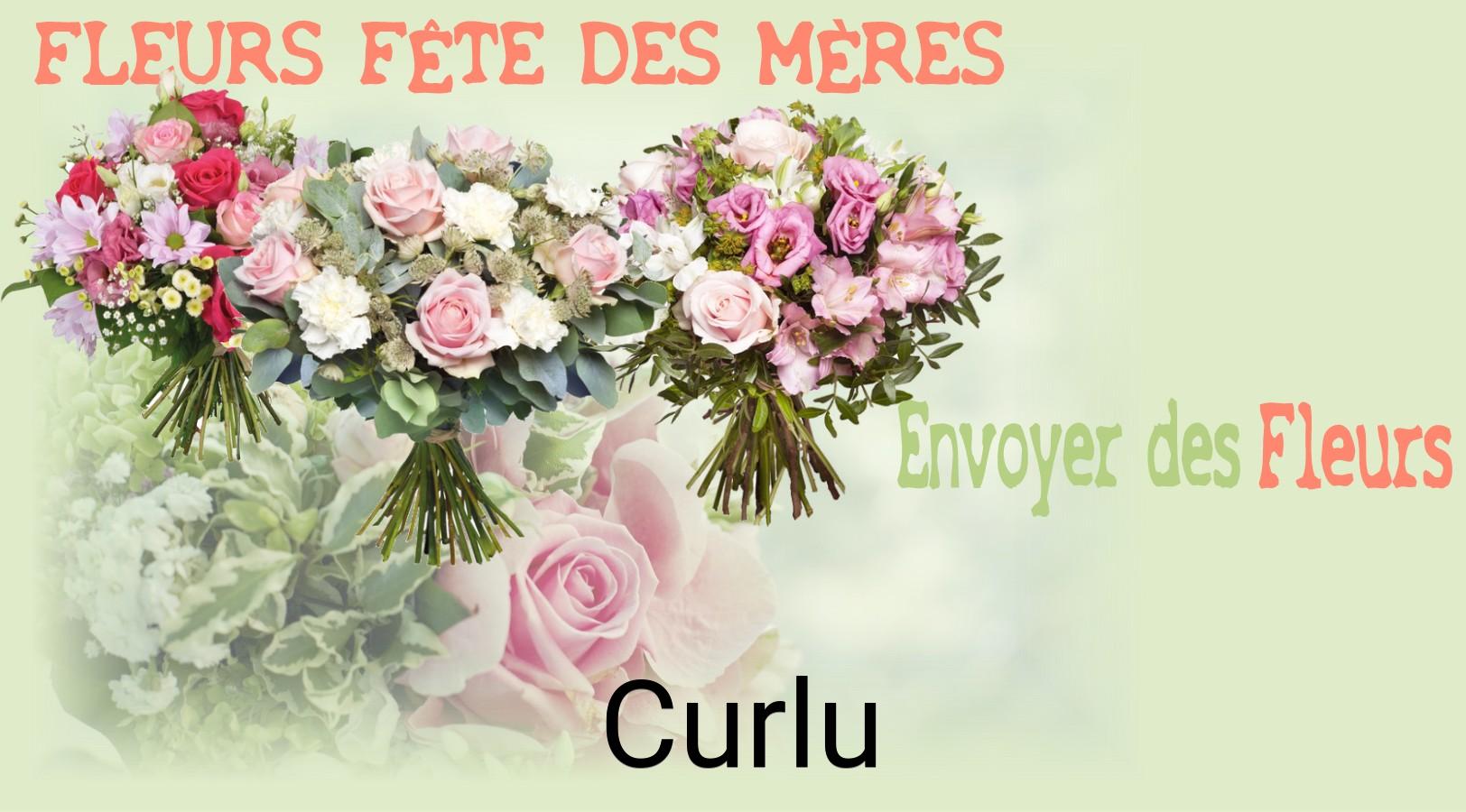 Bouquet de Fête des Mères livré à Curlu
